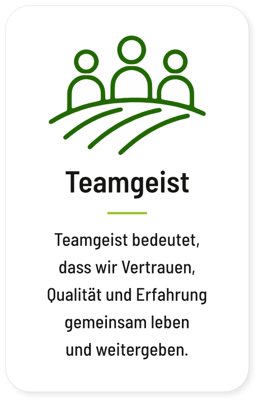 Teamgeist: Teamgeist bedeutet, dass wir Vertrauen, Qualität und Erfahrung gemeinsam leben und weitergeben.